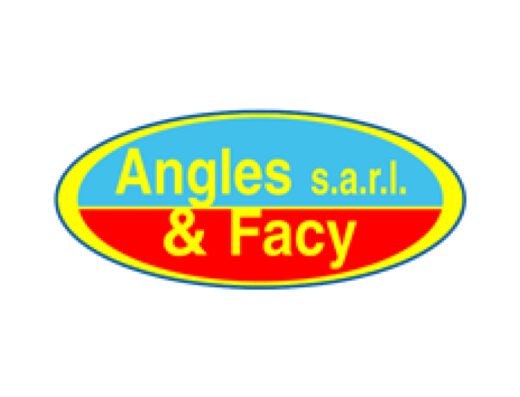 AnglesFacy LOGO MON ARTISAN PEINTRE