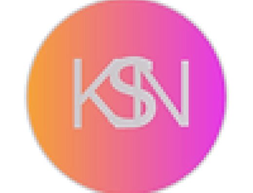 KSN91 LOGO MON ARTISAN PEINTRE